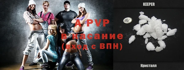 СК Богородицк