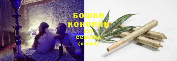 СК Богородицк