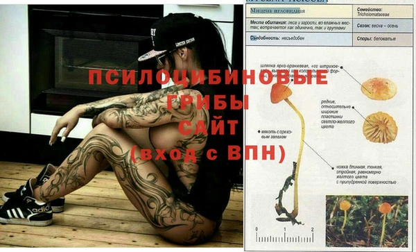 мет Богданович